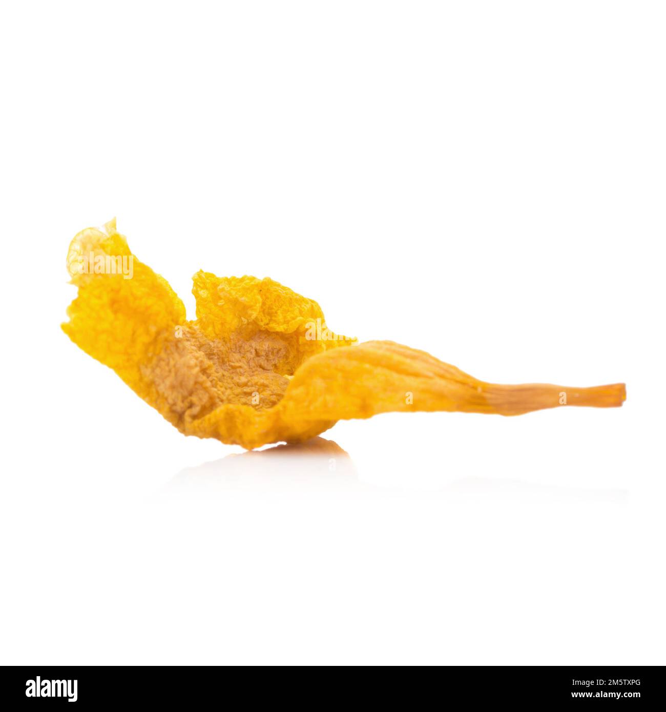 fiore giallo essiccato isolato su sfondo bianco Foto Stock