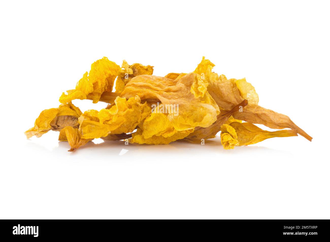 fiore giallo essiccato isolato su sfondo bianco Foto Stock