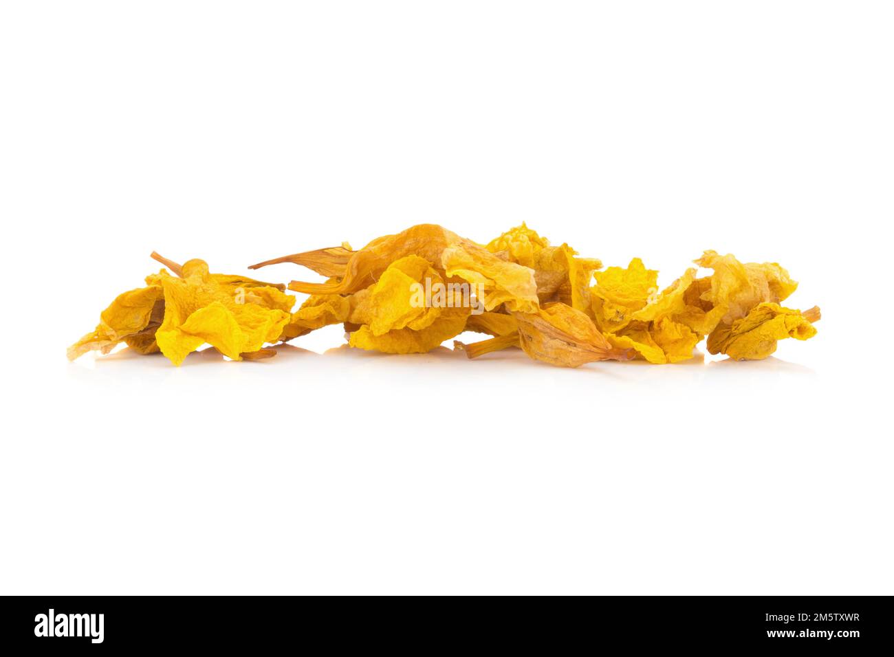 fiore giallo essiccato isolato su sfondo bianco Foto Stock