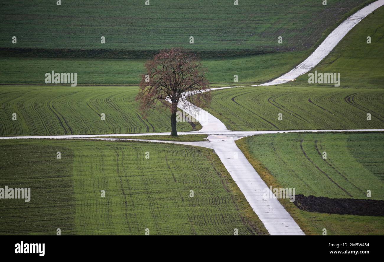Riedlingen, Germania. 31st Dec, 2022. Un unico albero si trova nel mezzo di campi appena seminato dove si incrociano i sentieri. Credit: Thomas Warnack/dpa/Alamy Live News Foto Stock