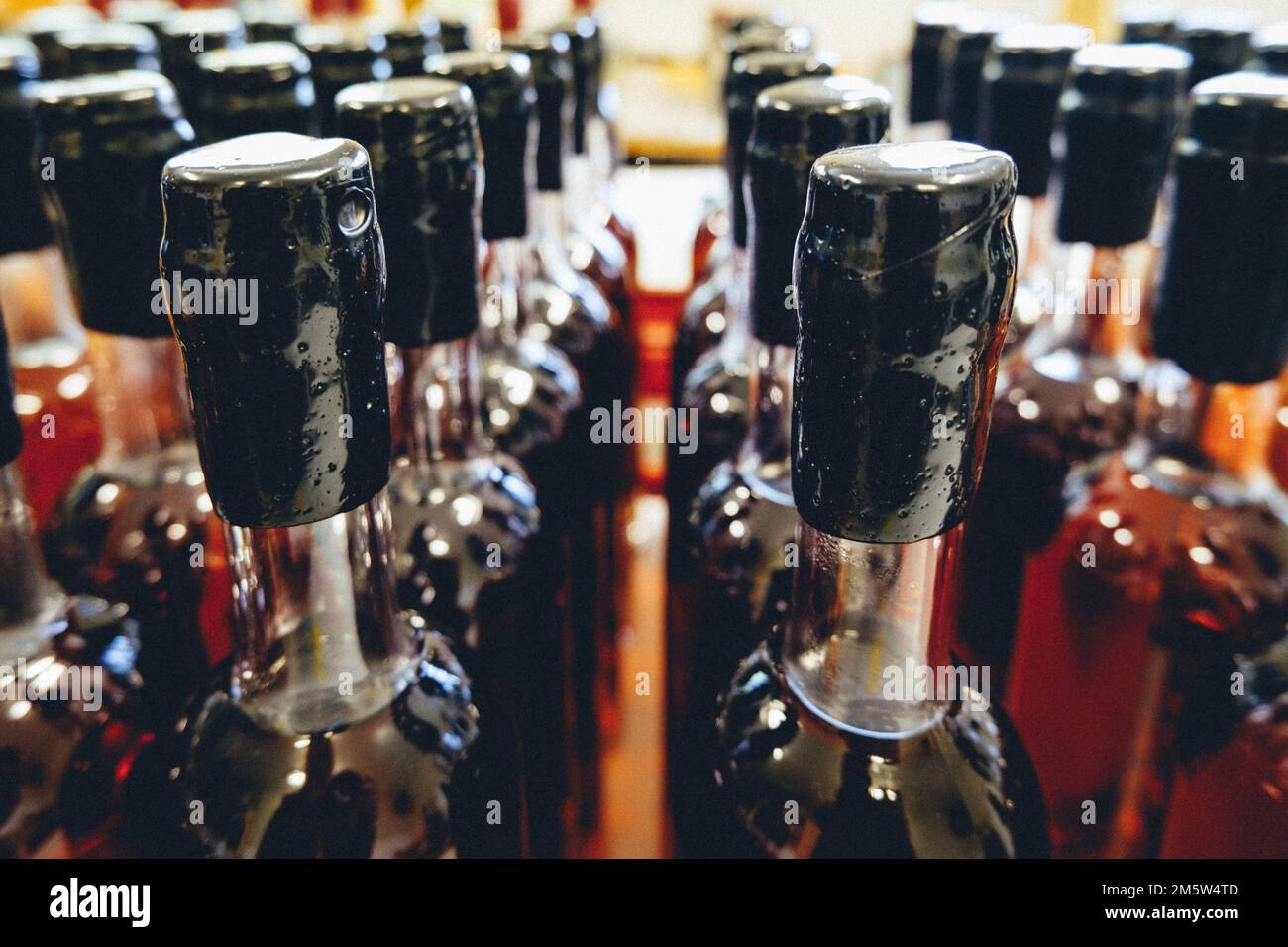 Colli di bottiglia e calici di alcol Armagnac (acquavite francese) nel sud della Francia (Gers) Foto Stock