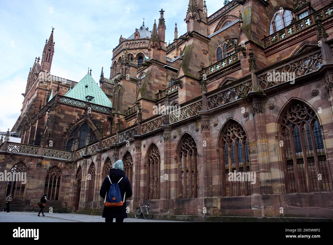 Cathédrale de Notre-Dame de Strasbourg, Strasburgo, Alsazia, Francia Foto Stock
