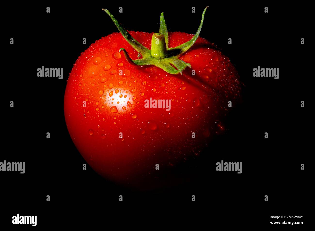 Pomodoro (Solanum lycopersicum), fondo scuro, gocce d'acqua Foto Stock