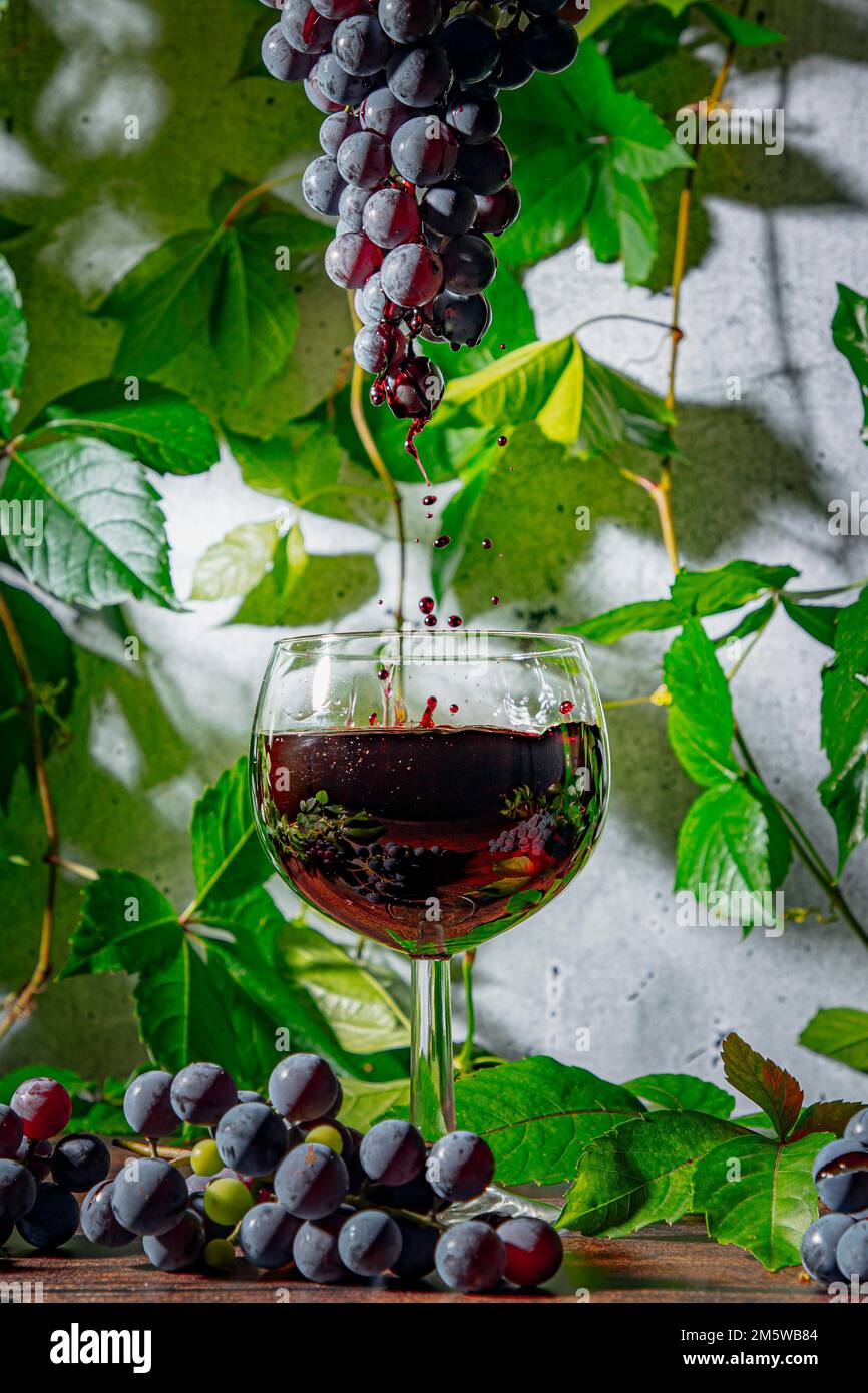 Vitigno (Vitis vinifera), gocce di vino che cadono in un bicchiere Foto Stock