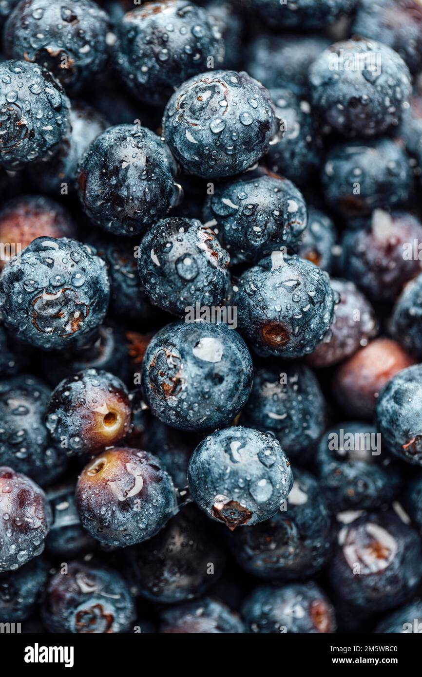 Fotografia alimentare, mirtillo europeo (Vaccinium myrtillus), mirtilli con gocce d'acqua, primo piano Foto Stock