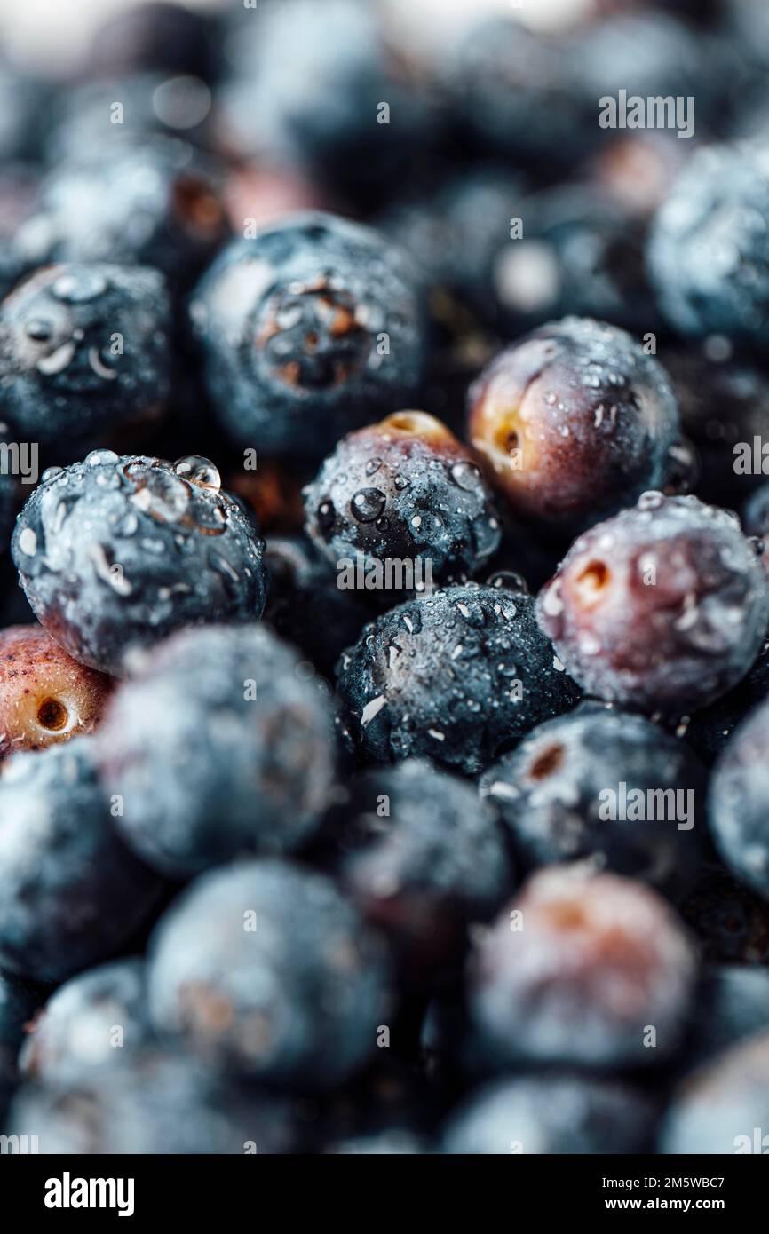 Fotografia alimentare, mirtillo europeo (Vaccinium myrtillus), mirtilli con gocce d'acqua, primo piano Foto Stock