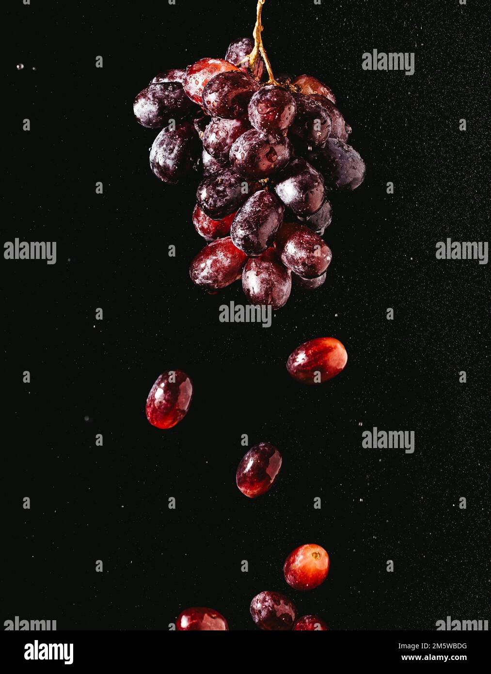 Fotografia alimentare, uva (Vitis) con gocce d'acqua Foto Stock