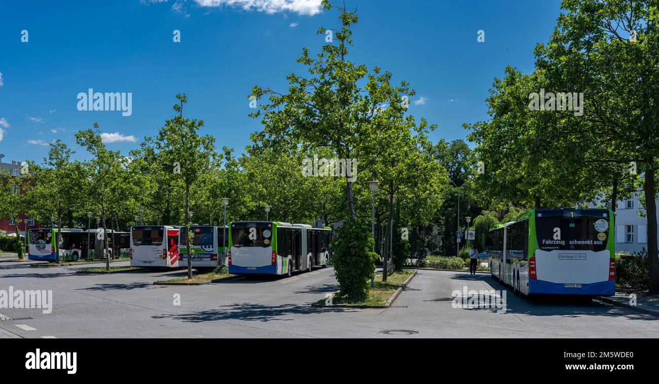Parcheggio per gli autobus pubblici presso la stazione centrale di Potsdam, Brandeburgo, Germania Foto Stock