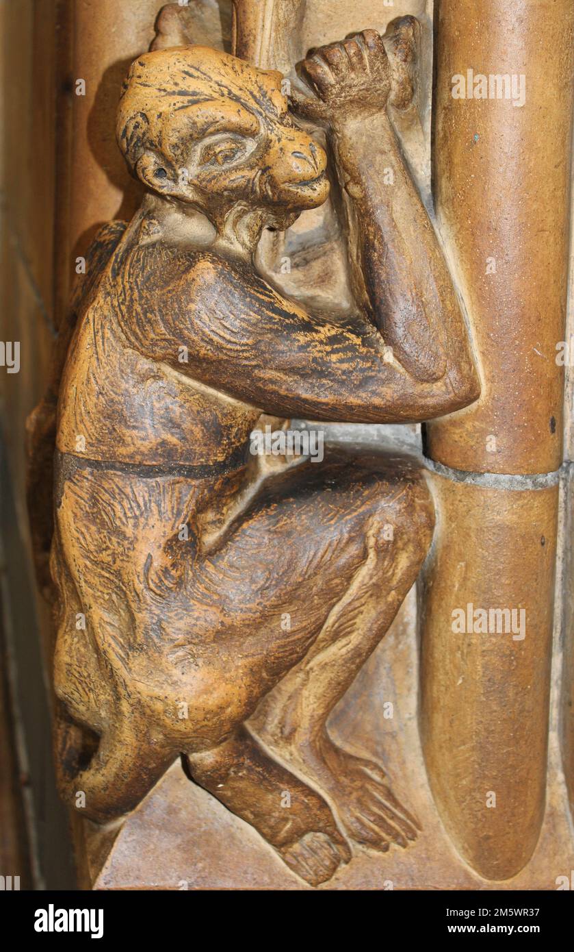 Monkey Stone Carving - Museo di Storia Naturale di Londra Foto Stock