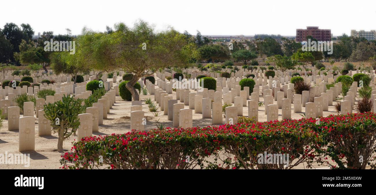 Il cimitero militare del Commonwealth ad al Alamein, Costa Nord dell'Egitto, Nord Africa Foto Stock