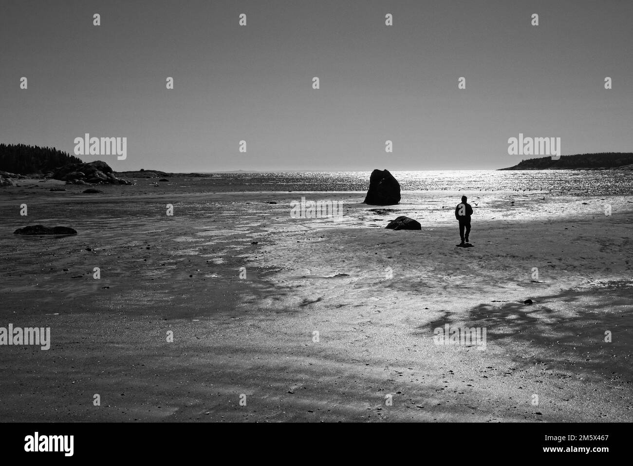 Una spiaggia a bassa marea permette a quest'uomo di ritrovarsi ad uno con la natura mentre cammina sul letto del fiume del salato, San Fiume Lawrence. Foto Stock
