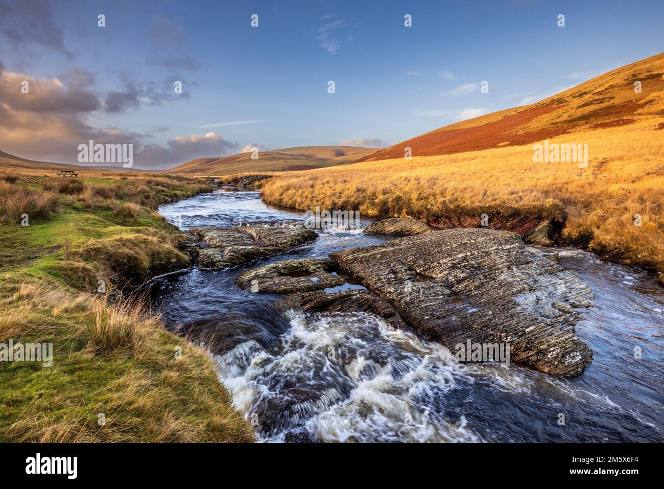 Il fiume Elan che scorre attraverso Elan Valley, Powys, Galles Foto Stock