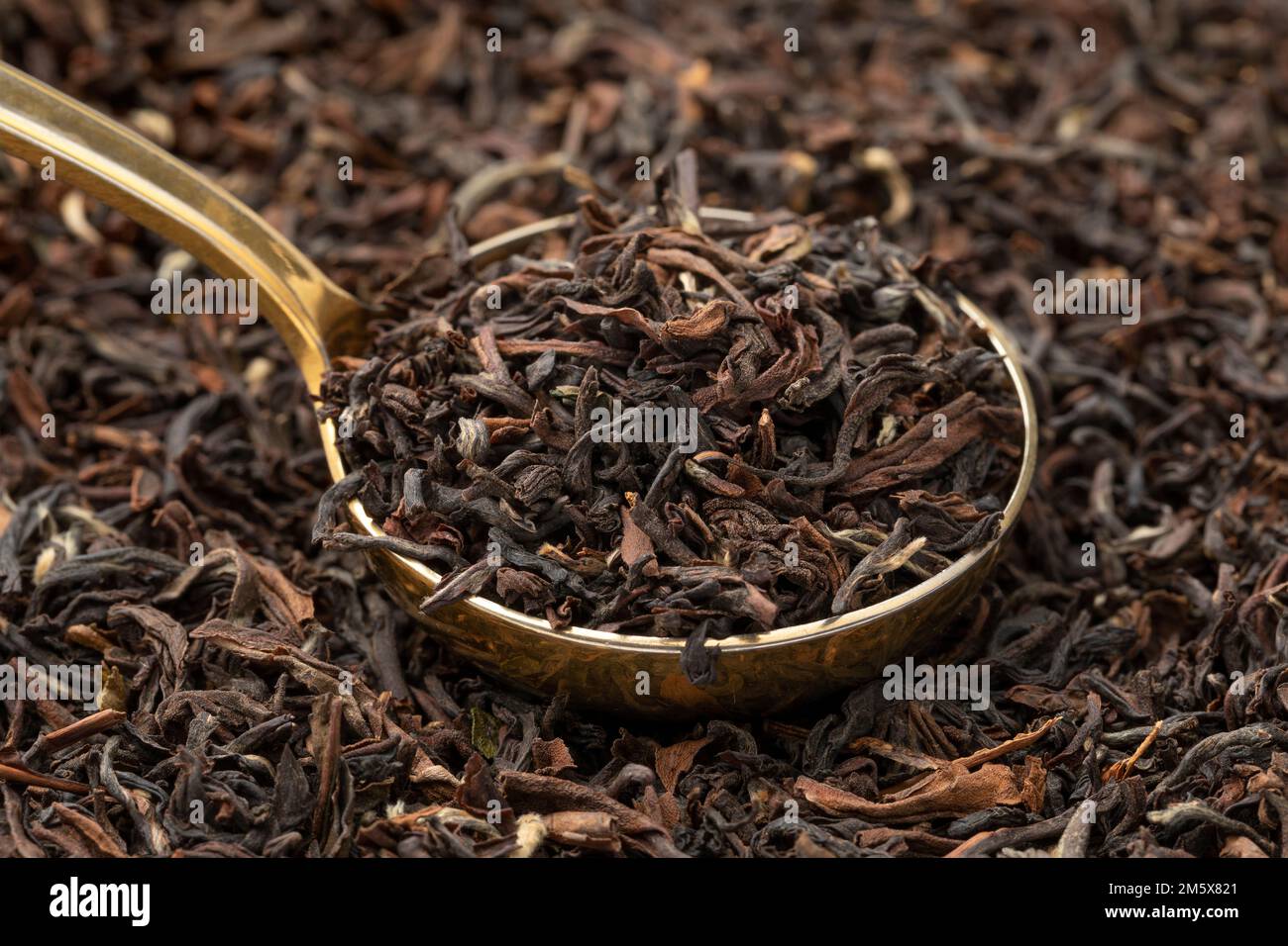 Indiano Tukvar darjeeling foglie di tè secco su un cucchiaio chiudere la cornice completa come sfondo Foto Stock