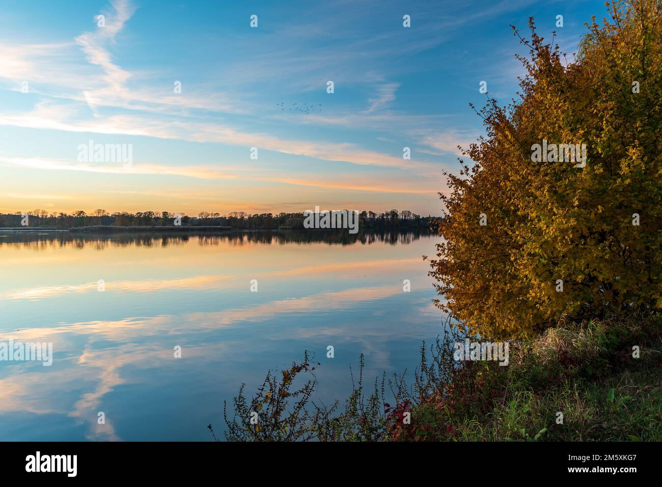 Laghetto con alberi intorno e cielo blu dopo il tramonto autunnale - laghetto Bezruc in CHKO Poodri in repubblica ceca Foto Stock