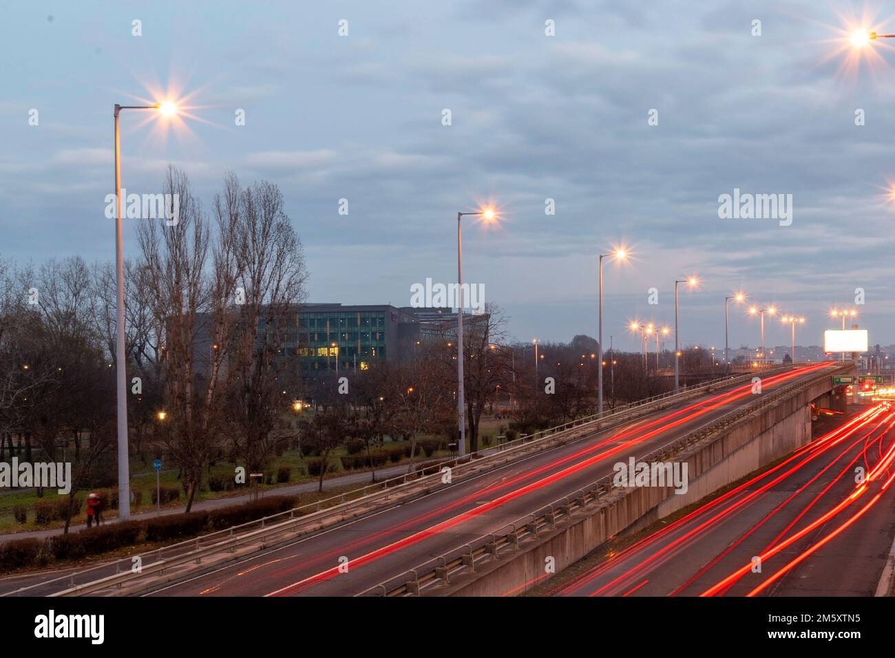 Vita notturna Foto Stock
