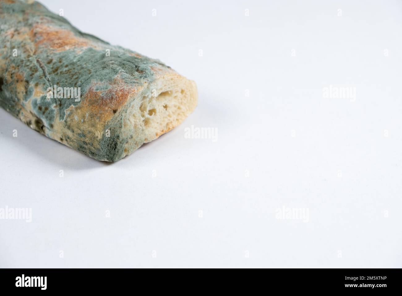 Muffa su pane su uno sfondo bianco primo piano. Il pericolo di muffa, prodotti stantio. Foto Stock