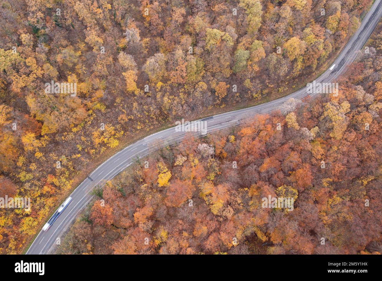 Veduta aerea della strada Curvy con foresta autunnale Foto Stock