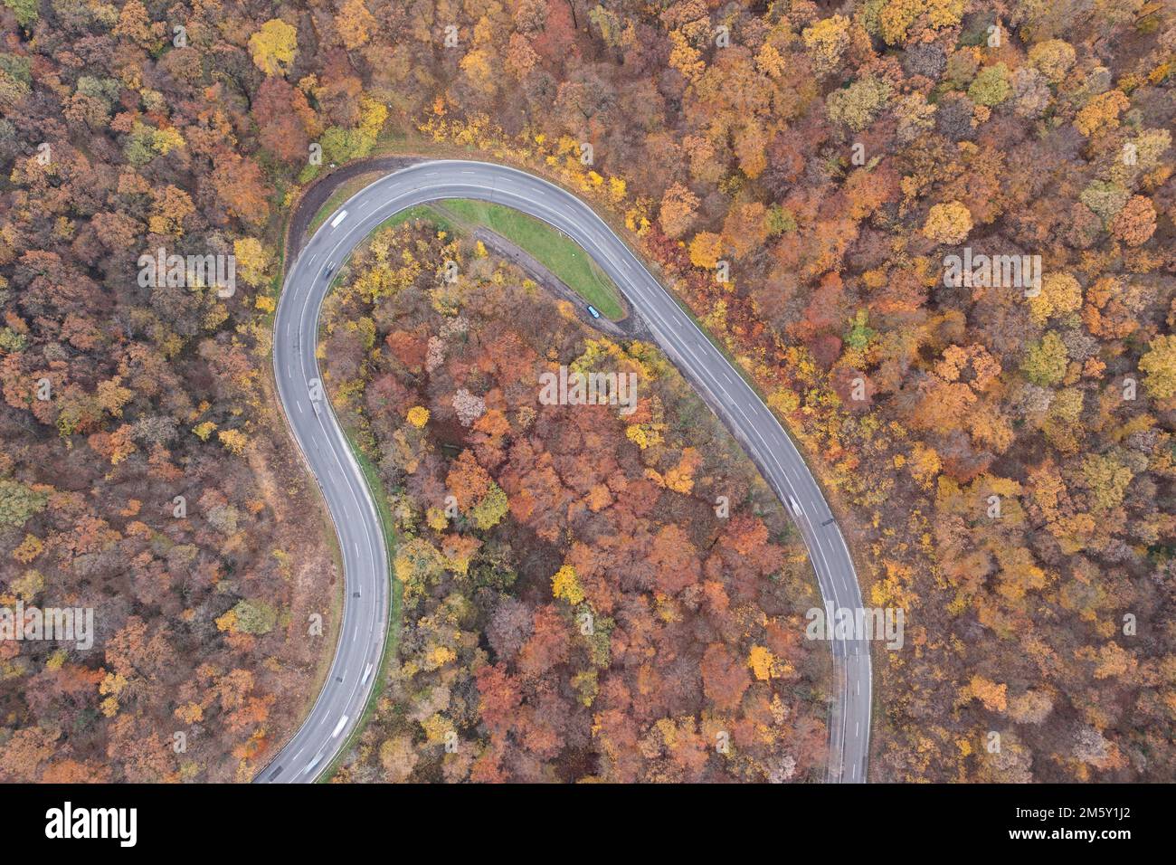 Veduta aerea della strada Curvy con foresta autunnale Foto Stock