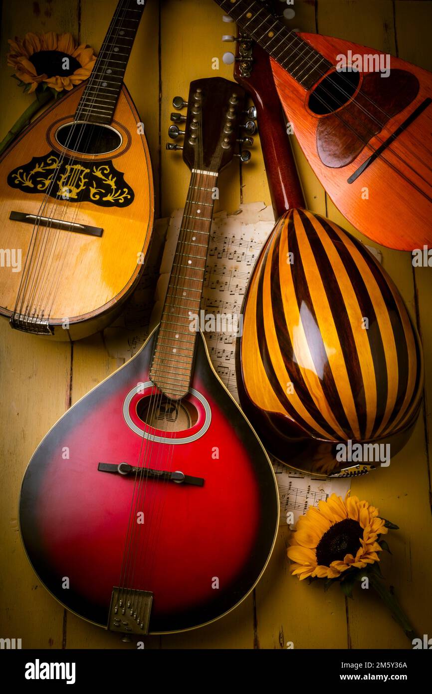Quattro mandolini ancora Lifefour Foto Stock