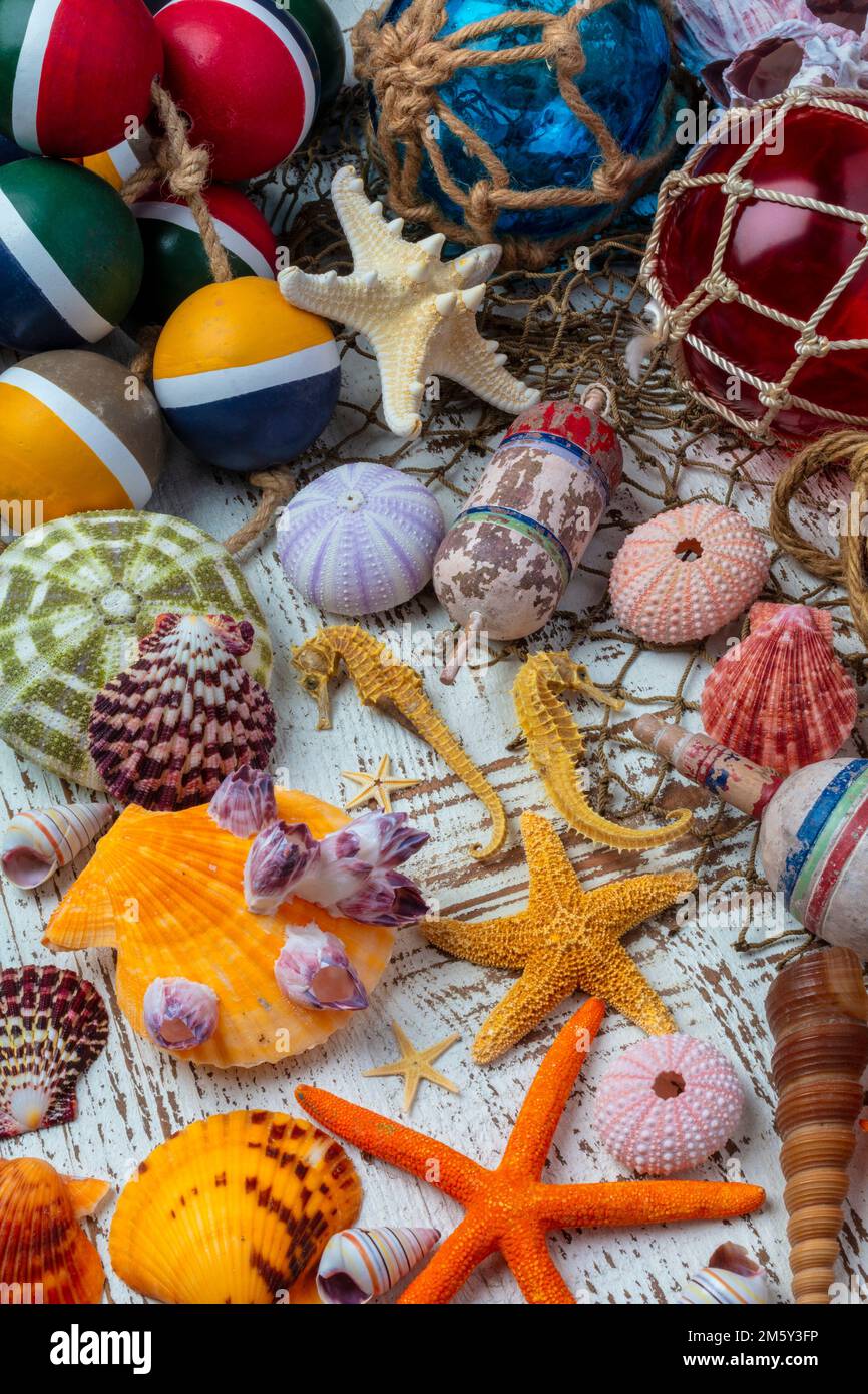 Sea Life e pesca galleggianti Still Life Foto Stock