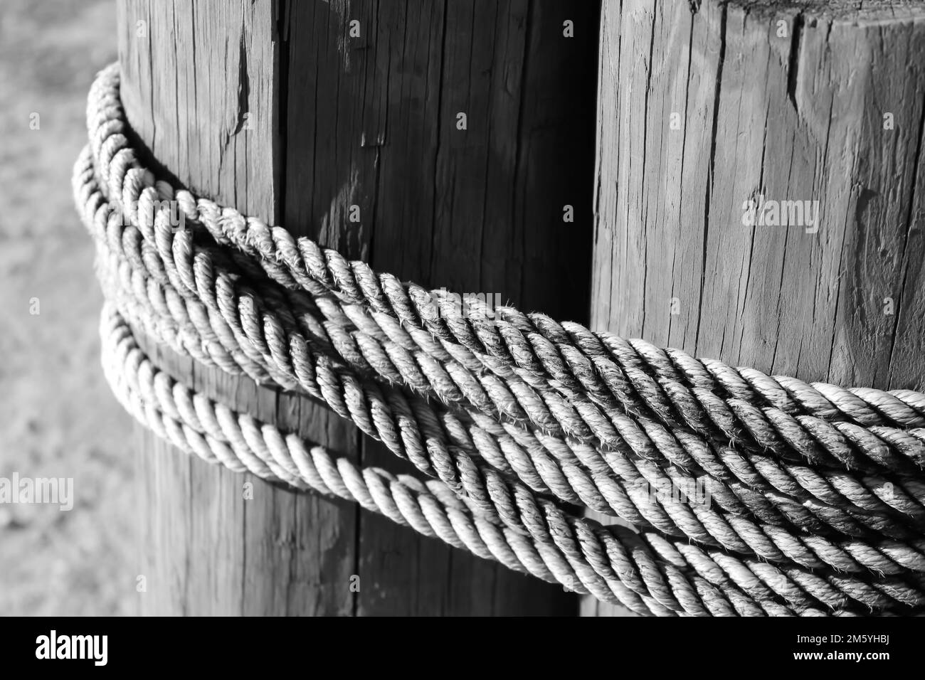 Corde legate strettamente intorno a pali di legno forti Foto Stock