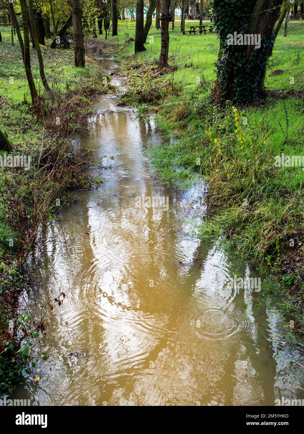 piccolo fiume in natura traboccato dalle piogge autunnali. Concetto di cambiamento climatico Foto Stock