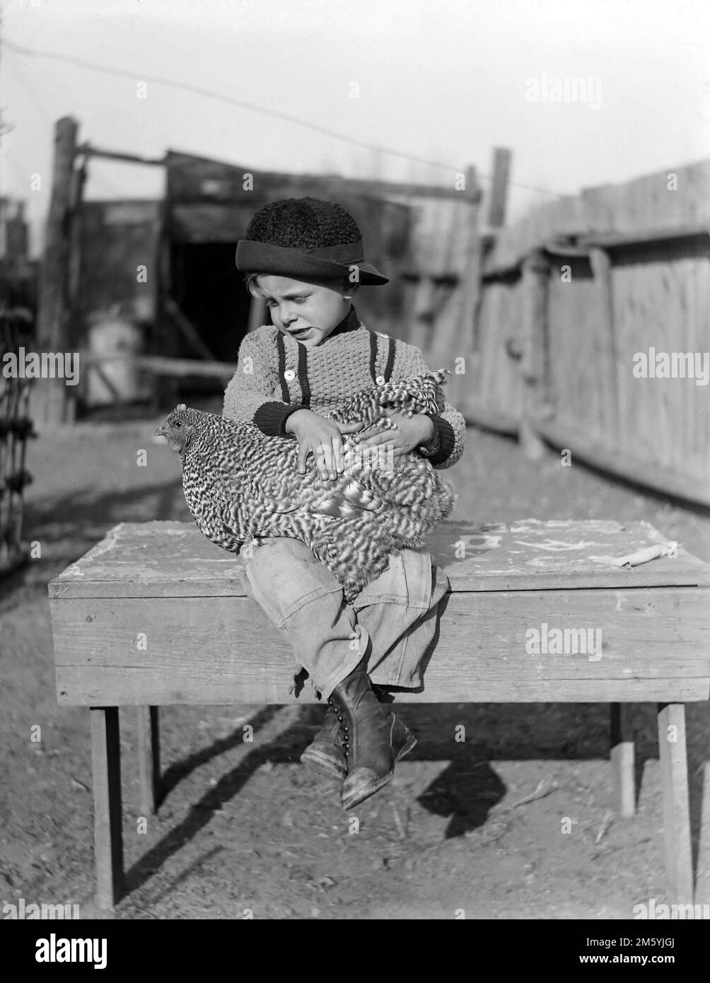 Un giovane ragazzo tiene un pollo nella fattoria della Pennsylvania della sua famiglia, circa 1900. Foto Stock