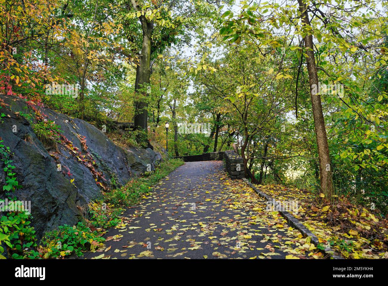 Sentiero forestale nel Fort Tryon Park, all'estremità nord di Manhattan, che conduce in salita ai Met Cloisters Foto Stock