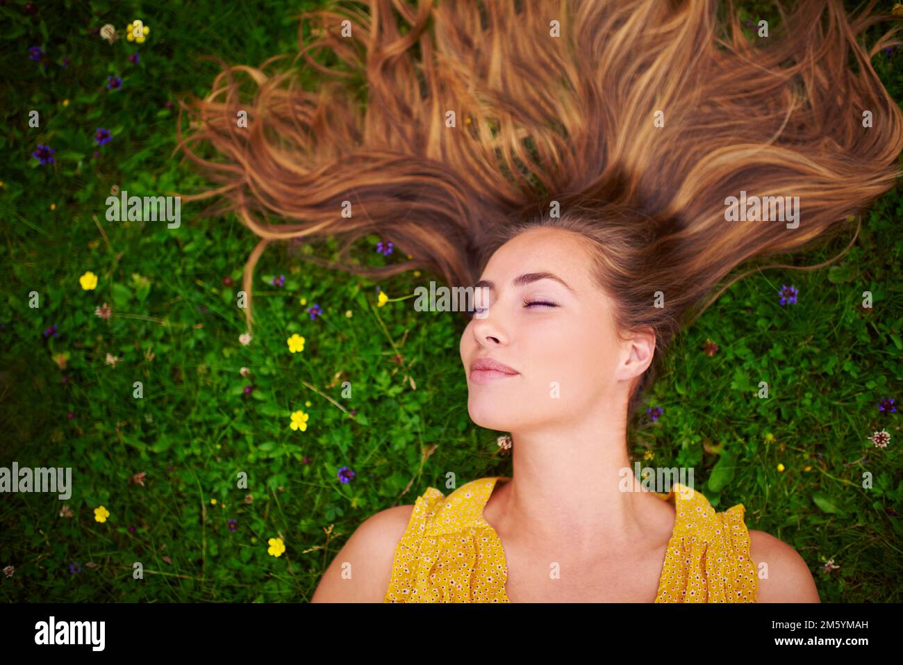 Innamorato della vita. Scatto ad angolo alto di una giovane donna spensierata che si rilassa in un campo di erba e fiori. Foto Stock