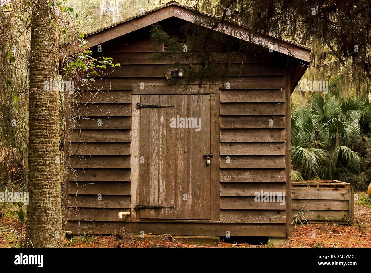 Chiuso piccolo capannone di legno Foto Stock