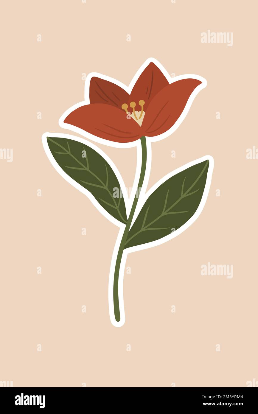 Fiore rosso vettore fiore ellebore Illustrazione Vettoriale