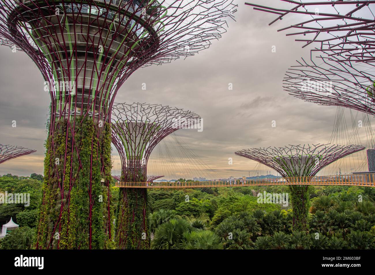 Singapore, Singapore 30 agosto 2022, lo Skyway OCBC di Singapore Foto Stock