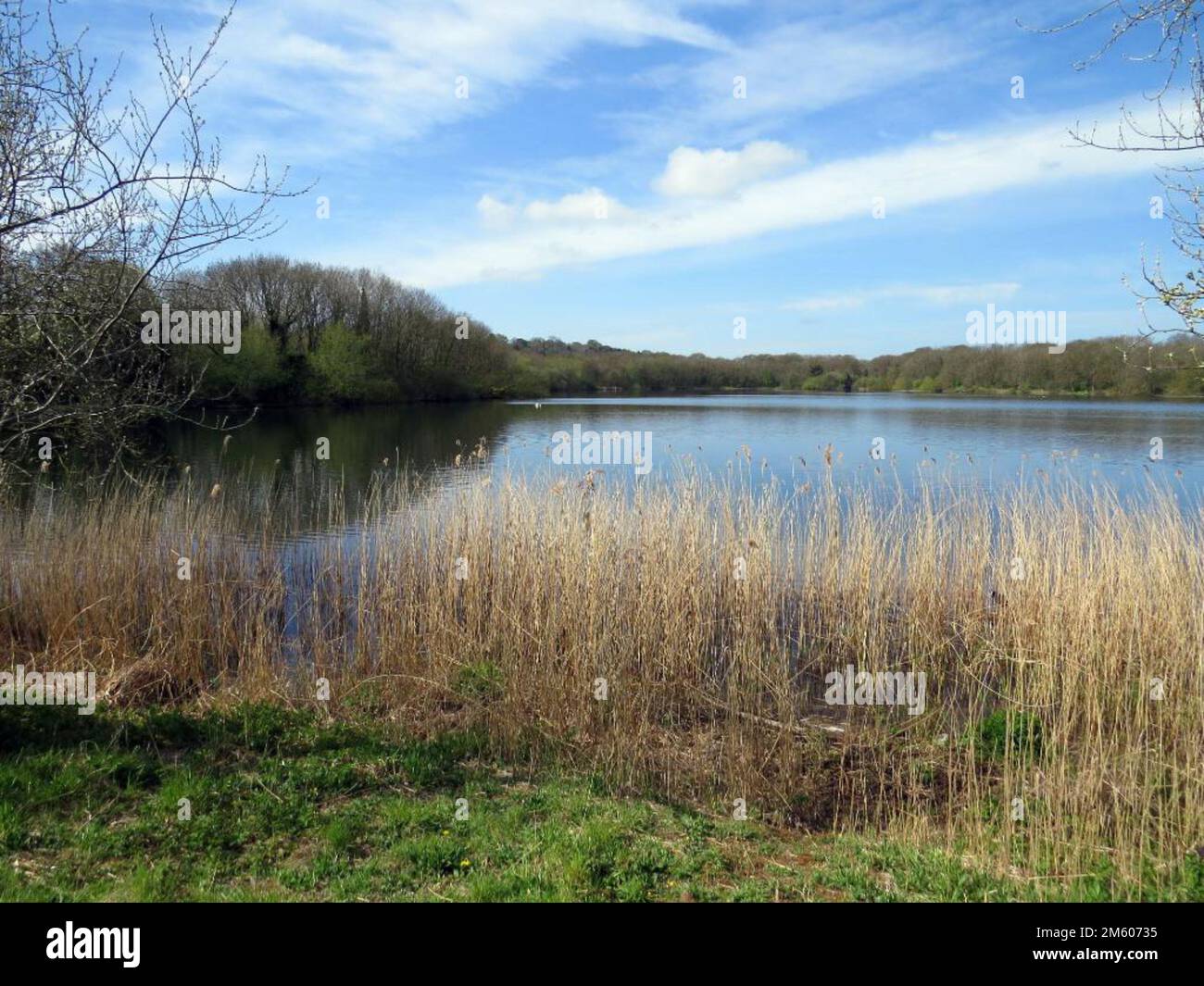 Abbots lago di legno Foto Stock