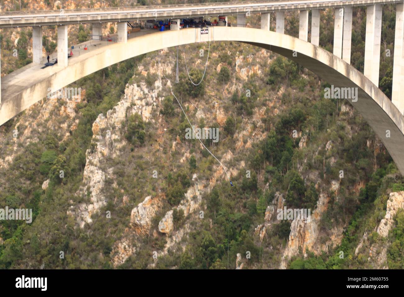 Settembre 28 2022 - Ponte di Bloukrans in Sudafrica: Un ponticello unidentified cadendo liberamente nel salto commerciale più alto del mondo del bungee a Blouk Foto Stock