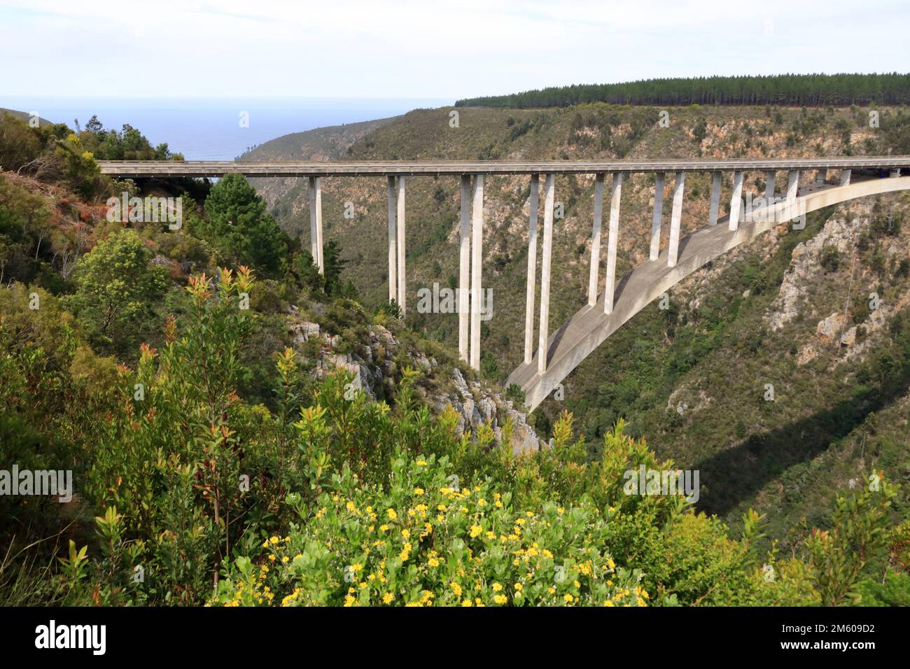 Una splendida vista sul ponte sul fiume Bloukrans sulla Garden Route in Sud Africa. Il punto più alto al mondo per il bungee jumping Foto Stock