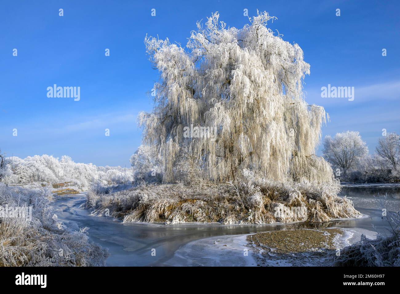 Paesaggio fluviale con gelo e ghiaccio, Eder, Guxhagen, Assia, Germania Foto Stock