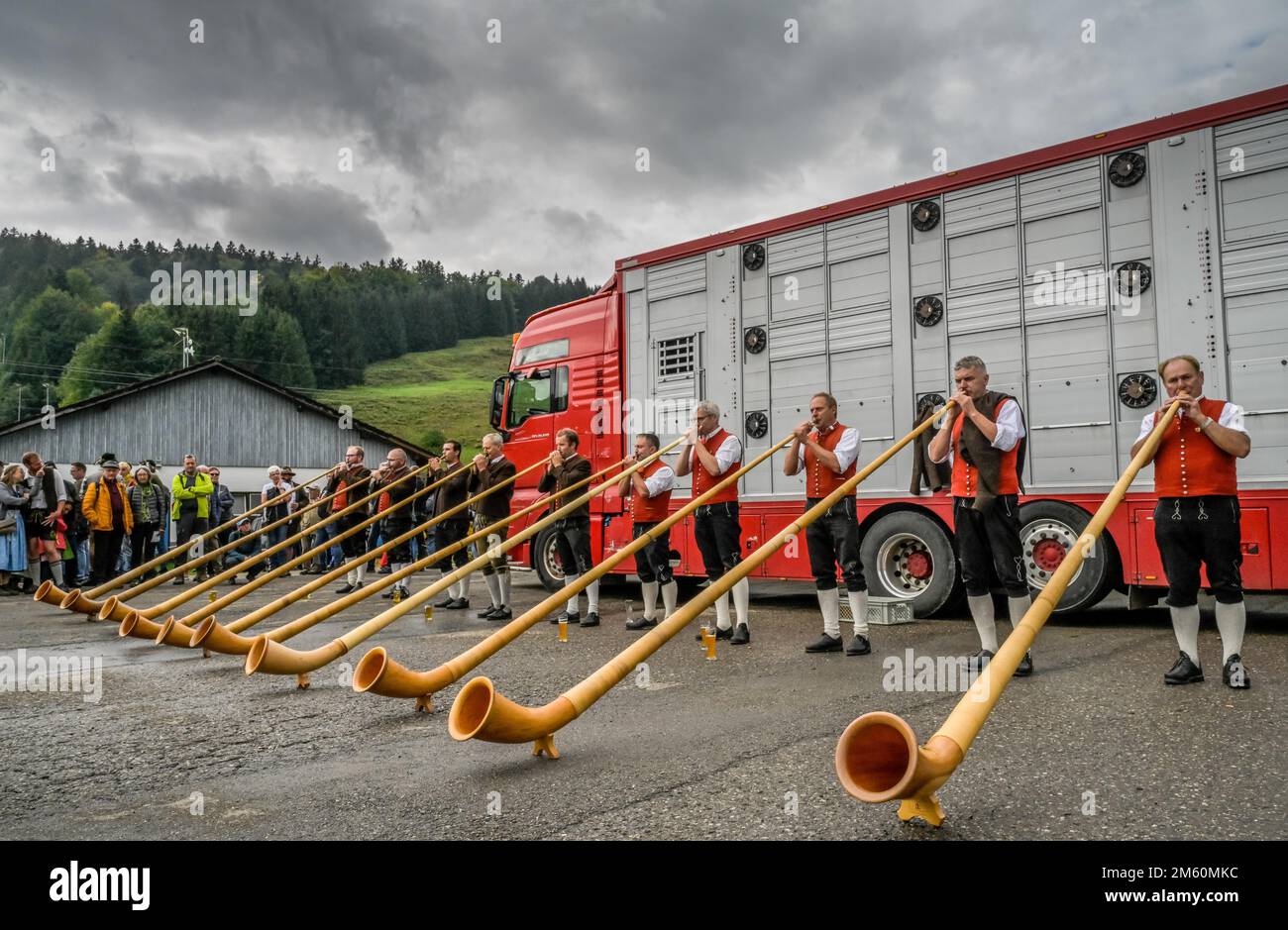 16. 09. 2022. Soffiatori alphorn all'Almabtrieb, seperazione del bestiame a Thalkirchdorf, Markt Oberstaufen, Allgaeu, Baviera, Germania Foto Stock