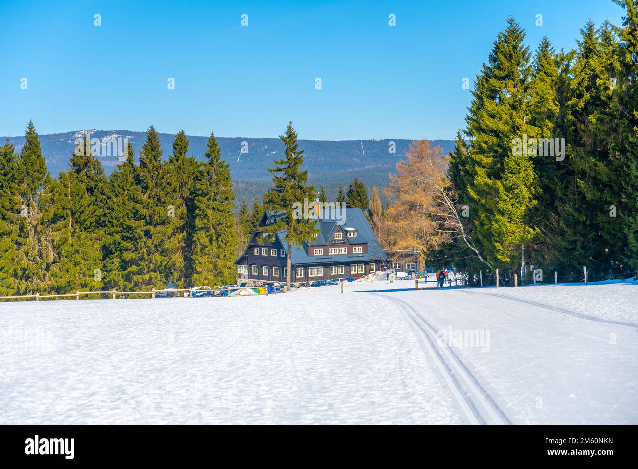Pista da sci di fondo che conduce alla baita nella soleggiata giornata invernale. Jizera Mountains, Repubblica Ceca Foto Stock