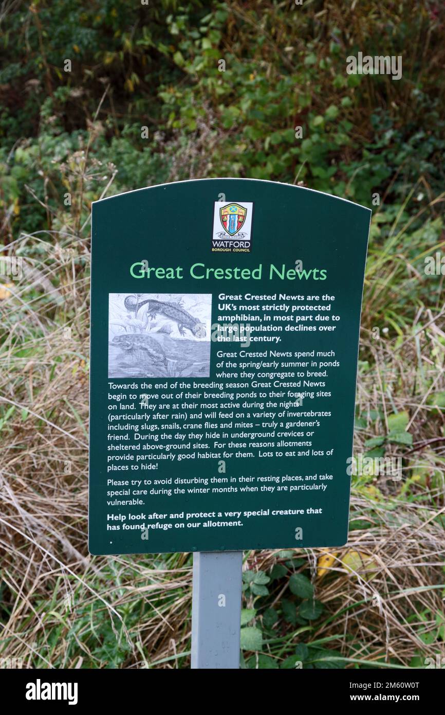 Cartello con la presenza di Great Crested Newts, Oxhey, Hertfordshire Foto Stock