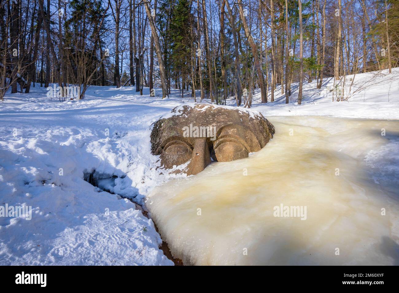 PETERHOF, RUSSIA - 05 MARZO 2018: Scultura congelata 'testa' (scultura alla fonte', XVIII - inizio XIX secolo) di uno scultore sconosciuto nel parco o Foto Stock