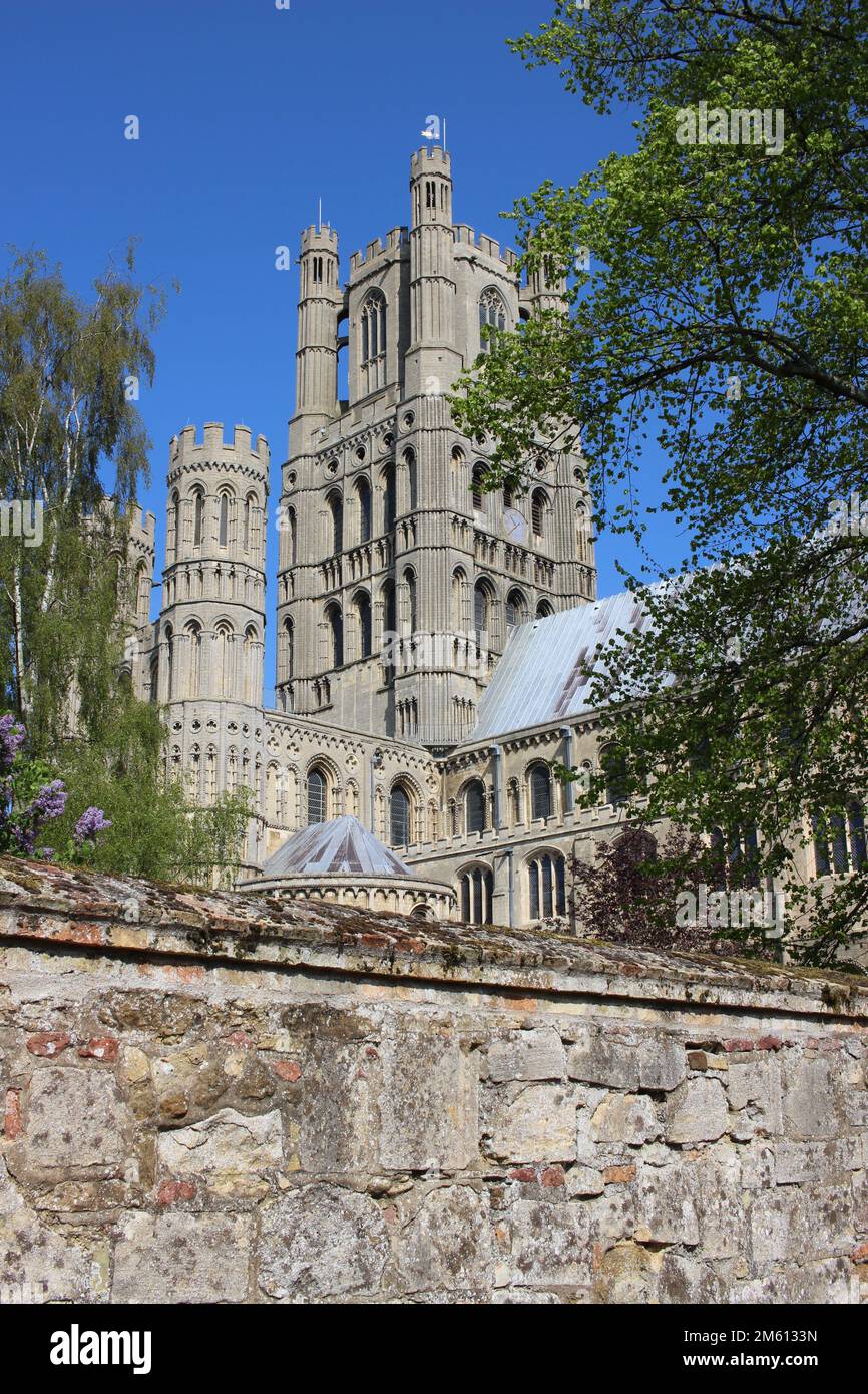 Cattedrale di Ely (Chiesa Cattedrale della Santa Trinità e indivisa), Torre Ovest, Ely, Cambridgeshire Foto Stock