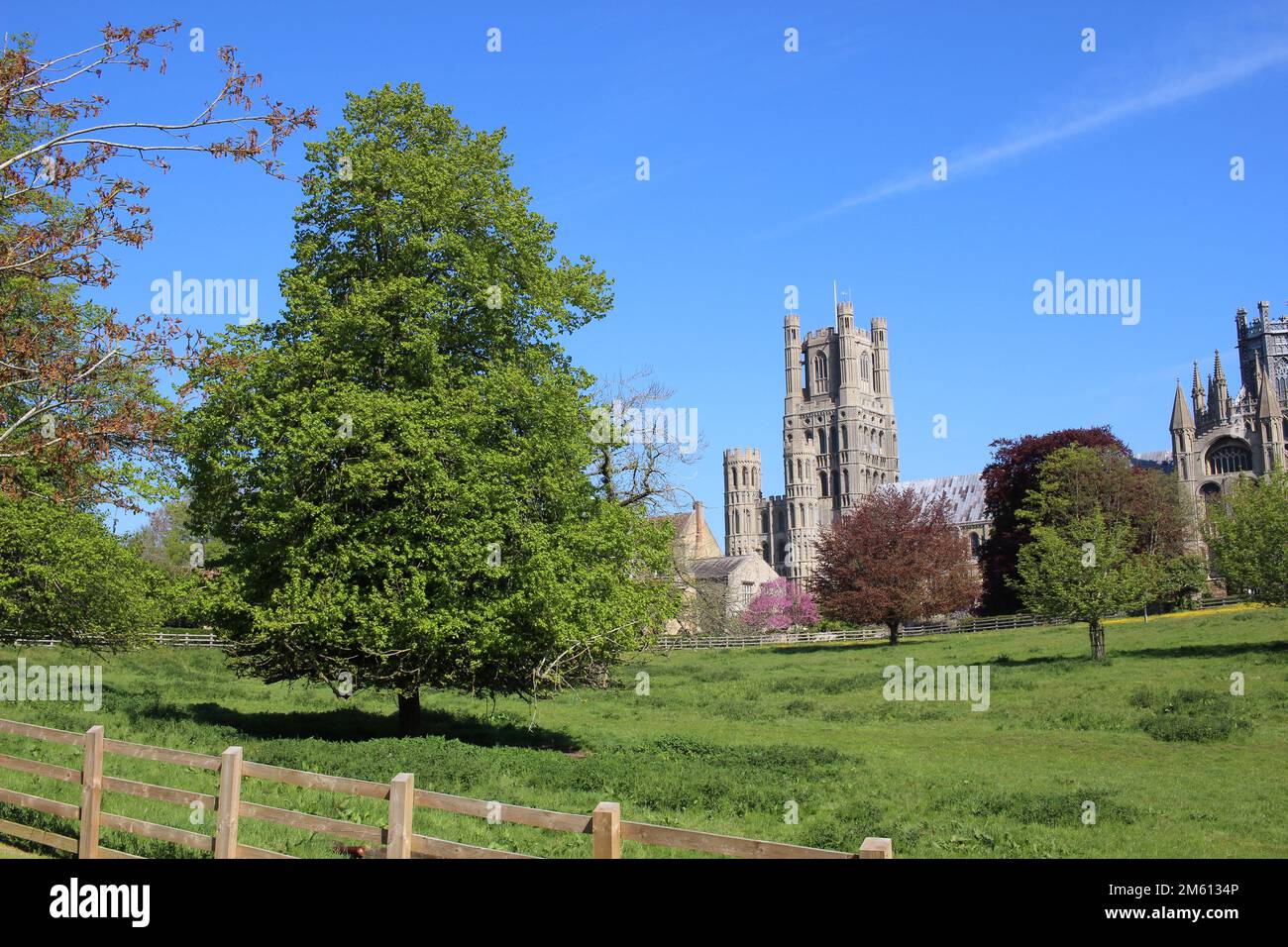 Cattedrale Ely (Chiesa Cattedrale della Santa Trinità e indivisa), Torre Ovest e la vista Octagon da Cherry Hill Park, Ely, Cambridgeshire Foto Stock