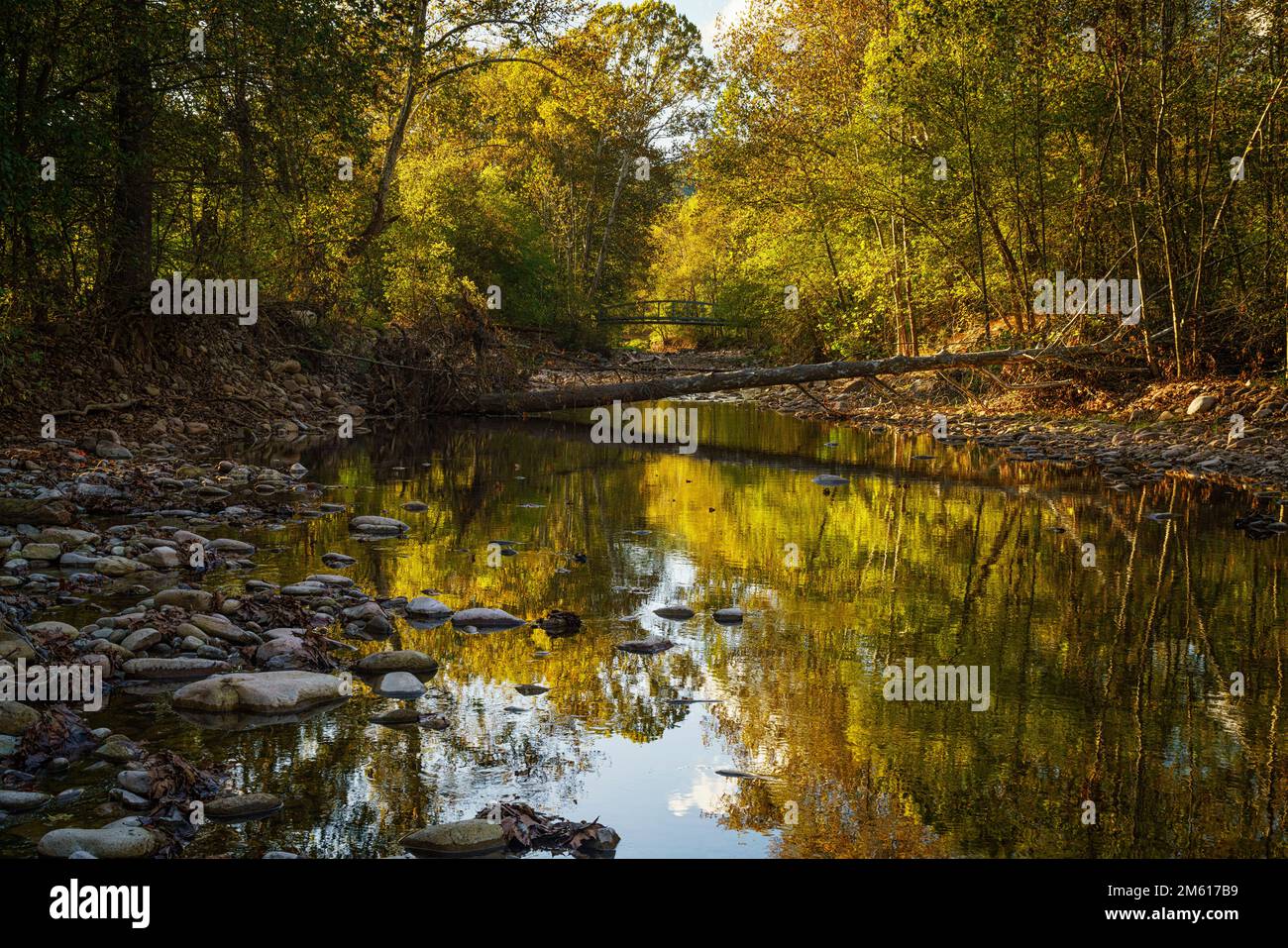 Vista autunnale del North Fork South Branch Potomac River, Seneca Rocks, Pendleton County, West Virginia Foto Stock