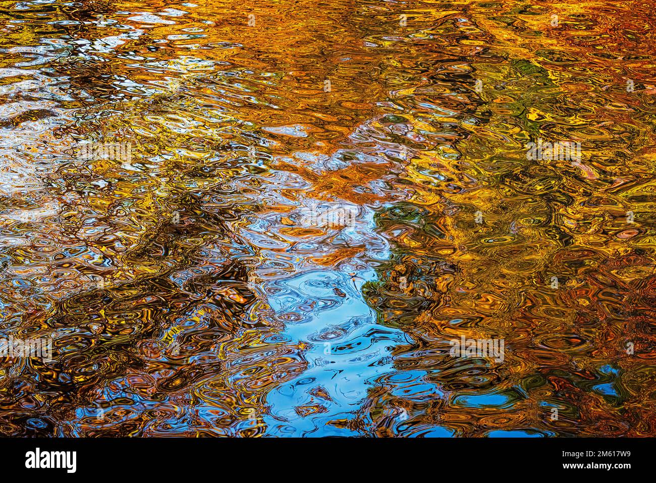 Coloratissimi riflessi autunnali nel fiume Little Pigeon vicino a Townsend, Tennessee Foto Stock
