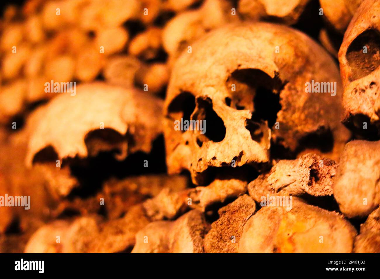 Ossa e teschi nelle catacombe di Parigi, Francia Foto Stock
