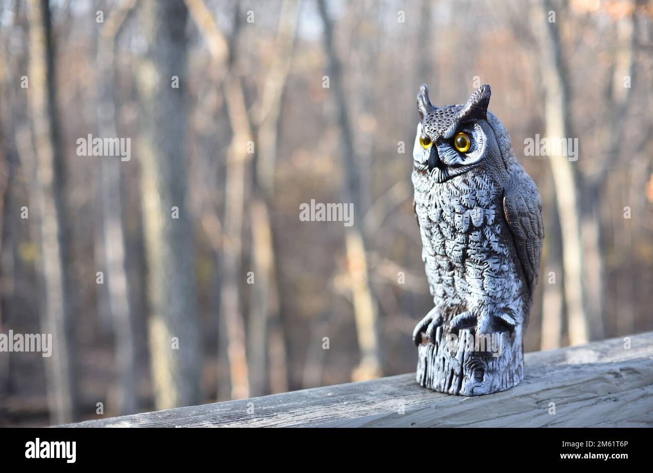 Il gufo di plastica imita un predatore per tenere piccoli animali e altri uccelli lontano da una casa Foto Stock