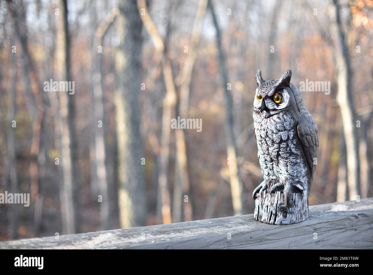 Il gufo di plastica imita un predatore per tenere piccoli animali e altri uccelli lontano da una casa Foto Stock