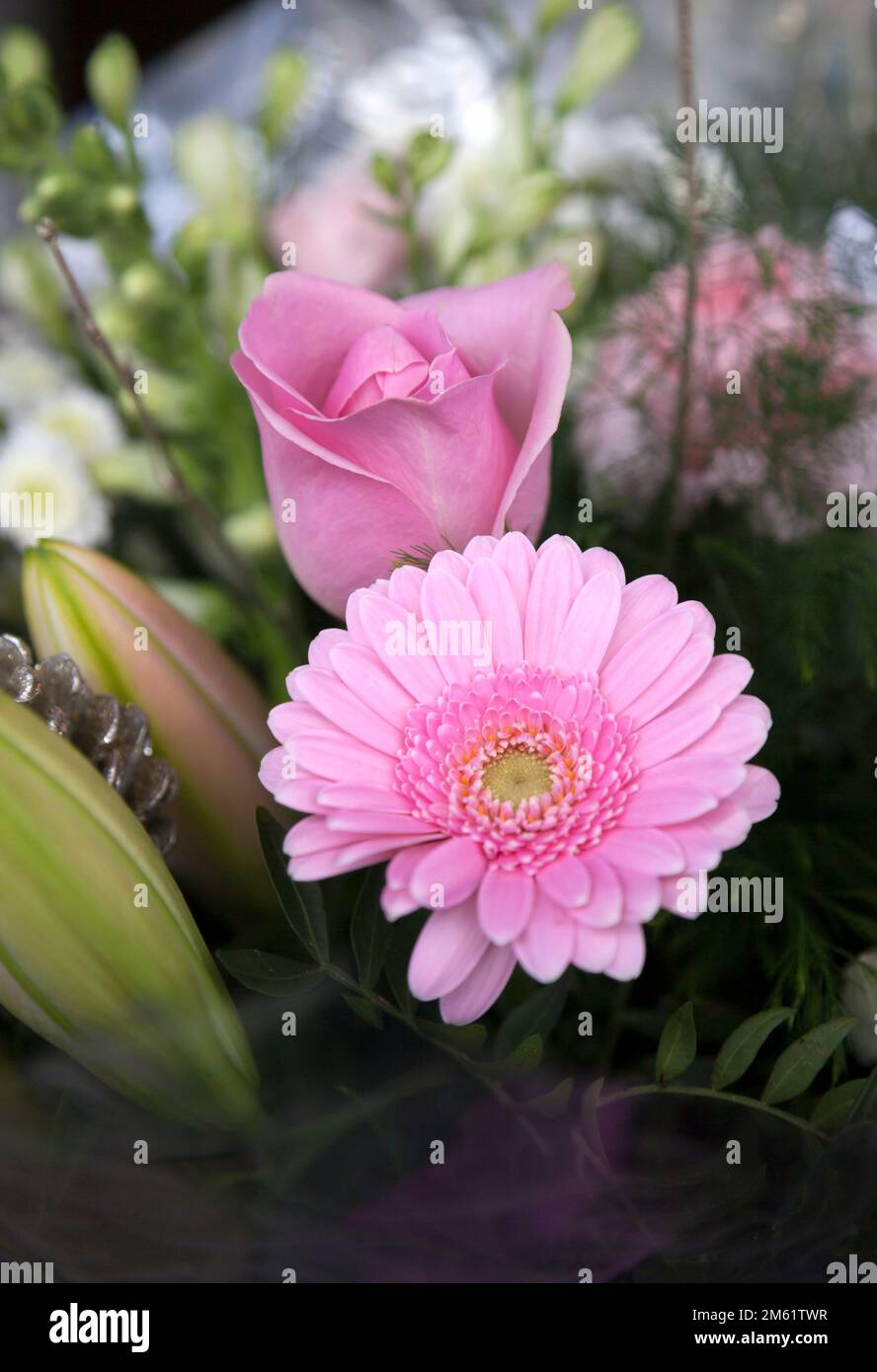Bouquet di fiori con gigli, rosa e gerbera in rosa. Foto Stock
