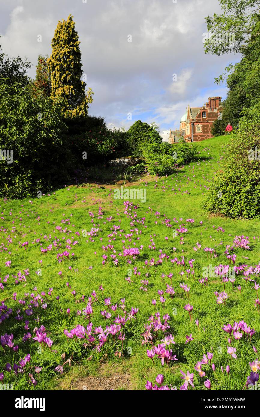 Sandringham House and Gardens, North Norfolk, Inghilterra, Gran Bretagna, Regno Unito Foto Stock