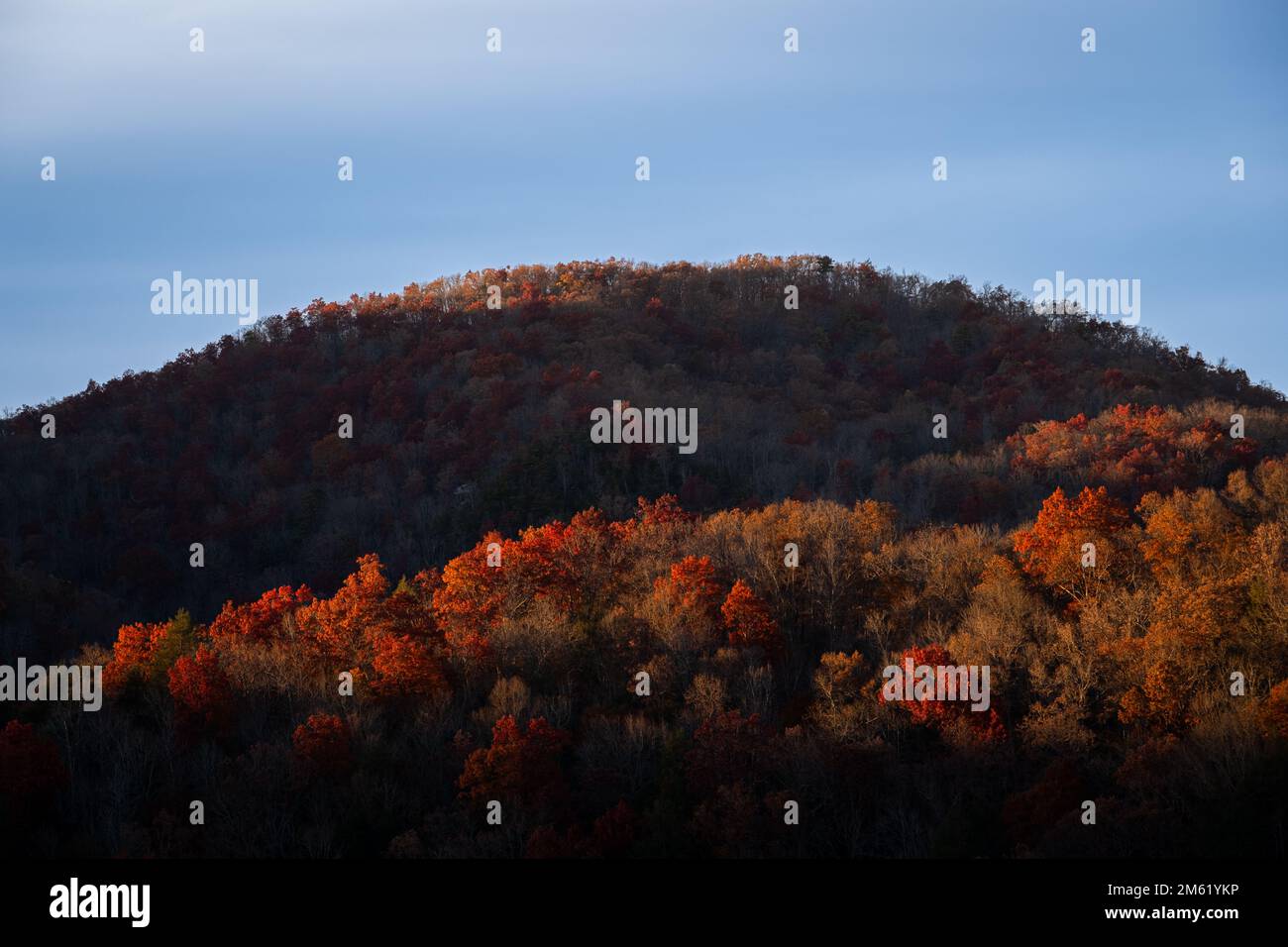 Colori autunnali nelle montagne boscose dell'Appalachia Centrale. Foto Stock